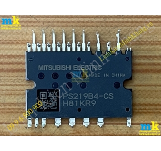 PS219B4-CST / PS219B4-CS 